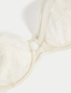 Valencia Lace Wired Full Cup Bra (A-E)