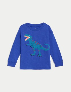 Pure Cotton Dinosaur Graphic Top (2-8 Yrs)