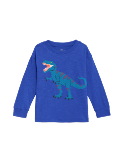 Pure Cotton Dinosaur Graphic Top (2-8 Yrs)