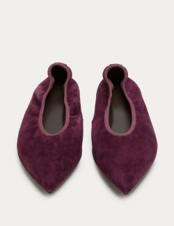 Suede Flat Pointed Toe Ballet Pumps