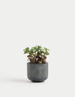 Artificial Mini Succulent Plant