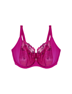 Embrace Wired Extra Support Bra F-J