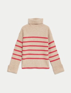 Air-Yarn Striped Roll Neck Jumper