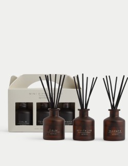 Set of 3 Mini Diffuser Set