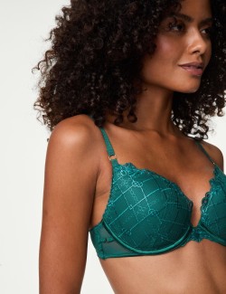 Anelli Embroidered Wired Push Up Bra (A-E)