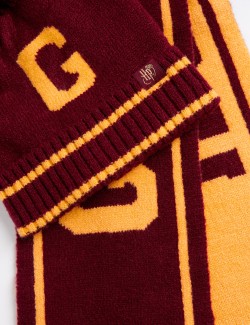 Harry Potter™ Hat, Scarf and Glove Set (6-13 Yrs)