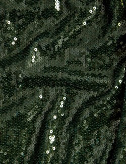 Sequin Wide Leg Trousers