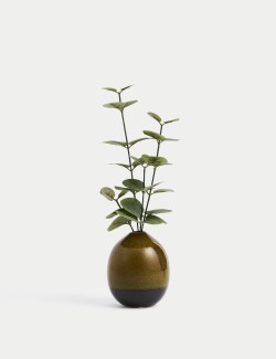 Artificial Eucalyptus in Ceramic Pot