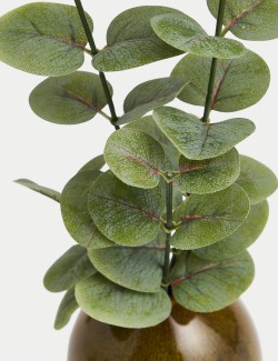 Artificial Eucalyptus in Ceramic Pot