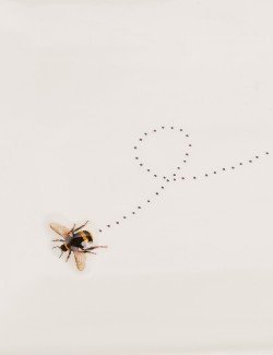 Obdélníkový tác s motivem včely