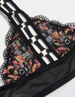 Vera Lace Wired Push-Up Plunge Bra (A-E)